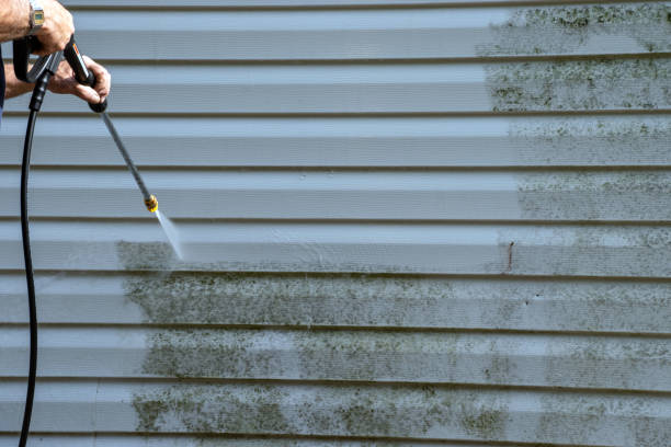 Best Shed Removal  in Watkins Glen, NY