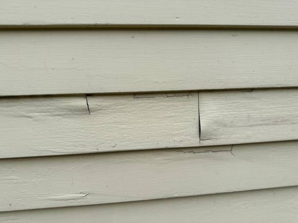 Best Hoarding Cleanup  in Watkins Glen, NY